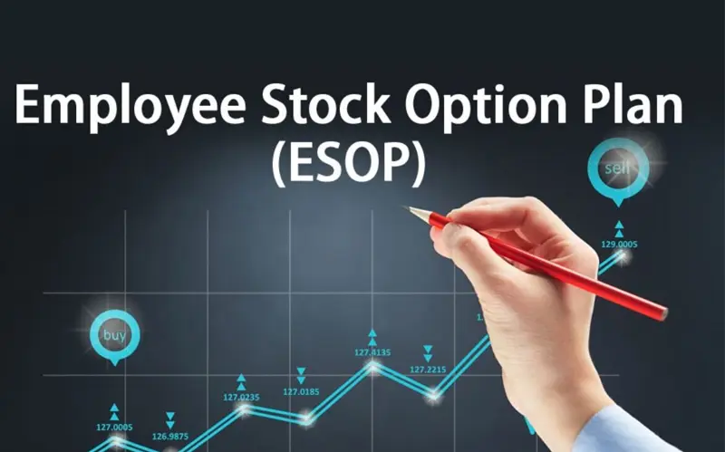 Read more about the article The Ultimate Guide to Issuing Employee Stock Option Plan (ESOP)